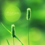 함께 해줘서 고마워요 - 벅스 함께 해줘서 고마워요 / 커핀