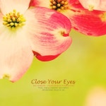 두 눈을 감고 - 벅스 두 눈을 감고 / 하늘정원