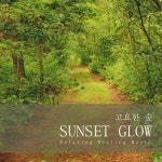 고요한 숲/선셋 그로우(Sunset Glow) - 벅스 고요한 숲 / 선셋 그로우(Sunset Glow)