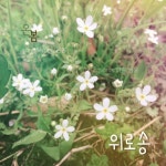 위로송 (Chorus. 다솔 샘물)/온봄 - 벅스 위로송 (Chorus. 다솔 샘물) / 온봄