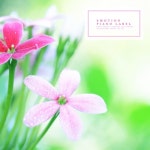 함께한 거리/풀빛소리 - 벅스 함께한 거리 / 풀빛소리
