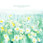 하얀 꽃의 나라/흰수염 고래 - 벅스 하얀 꽃의 나라 / 흰수염 고래