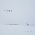 가시나무/달콤한 소금 - 벅스 가시나무 / 달콤한 소금