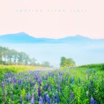 평온한 하루를 열어주는 감미로운 뉴에이지 피아노 - 벅스 평온한 하루를 열어주는 감미로운 뉴에이지 피아노 / Various Artists