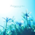 새벽의 향기/모카피아노 - 벅스 새벽의 향기 / 모카피아노