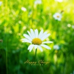 행복 충전/디오티마 - 벅스 행복 충전 / 디오티마