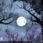 Dois Project Vol.1 - 벅스 Dois Project Vol.1 / 도이(Doi)