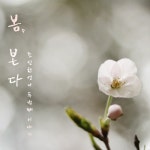 봄, 본다 - 벅스 봄, 본다 / 조신한언니