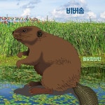 비버송/동요합창단 - 벅스 비버송 / 동요합창단