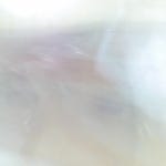 구름 위의 휴식/가너타니 - 벅스 구름 위의 휴식 / 가너타니