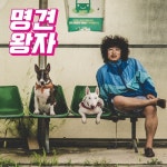 멍멍멍/중식이 - 벅스 멍멍멍 / 중식이