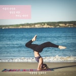 마음의 안정과 명상을 위한 피아노 테라피/마음명상 뉴에이지 - 벅스 마음의 안정과 명상을 위한 피아노 테라피 / 마음명상 뉴에이지