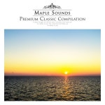 지친 하루의 끝에 감상하는 힘찬 클래식 - 벅스 지친 하루의 끝에 감상하는 힘찬 클래식 / Various Artists