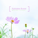 가을의 향기/모카피아노 - 벅스 가을의 향기 / 모카피아노