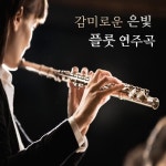 감미로운 은빛 플룻 연주곡 (영화, 드라마 OST, 클래식, 방송 시그널 음악) - 벅스 감미로운 은빛 플룻 연주곡 (영화, 드라마 OST, 클래식... 