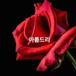 크리스마스 카페에 놀러 오세요 Red - 벅스 크리스마스 카페에 놀러 오세요 Red / 아름드리(Areumdri)