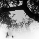 Last - 벅스 Last / Paul Blanco