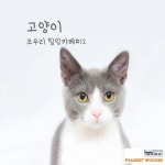 힐링카페 #12 - 벅스 힐링카페 #12 / 조우리