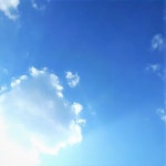 푸르른 - 벅스 푸르른 / 사랑유