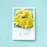 봄, 명상/엄마 아빠 자장가 - 벅스 봄, 명상 / 엄마 아빠 자장가