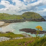 엄마가 되다 (순산의 기쁨과 행복, 산후조리)/태교음악 자장가 - 벅스 엄마가 되다 (순산의 기쁨과 행복, 산후조리) / 태교음악 자장가