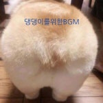 FRIEND - 벅스 FRIEND / 댕댕이를위한BGM