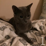 편지/615 - 벅스 편지 / 615