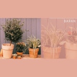 Hint/바란 - 벅스 Hint / 바란