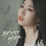 왜 이렇게 아프죠 - 벅스 왜 이렇게 아프죠 / 나비드(NAVID)