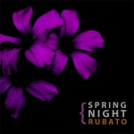 Spring Night/루바토(Rubato) - 벅스 Spring Night / 루바토(Rubato)