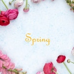 Spring/From.J - 벅스 Spring / From.J