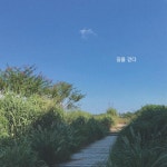 길을 걷다/37.2Mhz - 벅스 길을 걷다 / 37.2Mhz