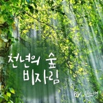 천년의 숲 비자림/은노병 - 벅스 천년의 숲 비자림 / 은노병