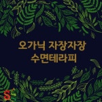 오가닉 자장자장 수면테라피 - 벅스 오가닉 자장자장 수면테라피 / 씽씽송(SingSingSong)