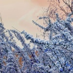 생각 (Inst.)/인디(yin.d) - 벅스 생각 (Inst.) / 인디(yin.d)