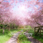 Spring is Coming - 벅스 Spring is Coming / 한승욱