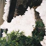 계절 편지 - 벅스 계절 편지 / 고요한