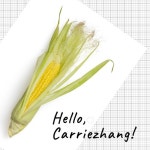 Carriezhang - 벅스 Carriezhang / 장옥