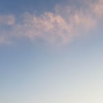 이 땅에서 - 벅스 이 땅에서 / 넓은세상사람들