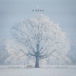 널 바라보다 - 벅스 널 바라보다 / 심가을