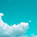 No more tears/Add Cozy - 벅스 No more tears / Add Cozy