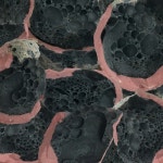 Say Laura - 벅스 Say Laura / Eric Chenaux