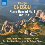 Enescu: Piano Quartet No.1 / Piano Trio In A Minor (에네스쿠: 피아노 4중주 1번 / 피아노 3중주 A단조) - 벅스 Enescu: Piano Quartet... 