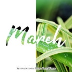 Kevinology 2022 Lieder Ohne Worte: March - 벅스 Kevinology 2022 Lieder Ohne Worte: March / 케비놀로지 (Kevinology)