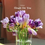 Flower for you - 벅스 Flower for you / 다원 (DaOne)