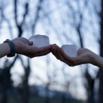 계절 - 벅스 계절 / 초양