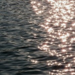 달빛이 머문 밤 - 벅스 달빛이 머문 밤 / 피아노의 숲