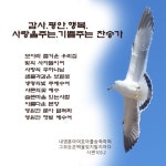 사랑을 주는, 기쁨을 주는 찬송가 - 벅스 사랑을 주는, 기쁨을 주는 찬송가 / 박인범