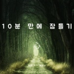 10분만에 잠들기 - 벅스 10분만에 잠들기 / 수면과학연구소