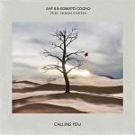 Calling You (feat. Shaun Carter) - 벅스 Calling You (feat. Shaun Carter) / Any B, Roberto Cogno